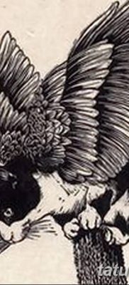 фото тату Кошка с крыльями от 26.06.2018 №009 — Cat tattoo with wings — tatufoto.com