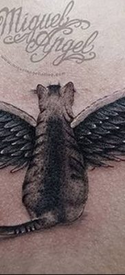 фото тату Кошка с крыльями от 26.06.2018 №013 — Cat tattoo with wings — tatufoto.com