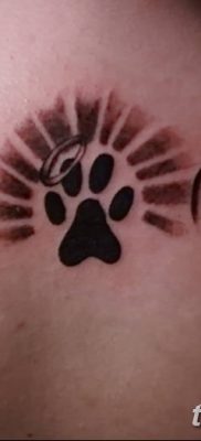 фото тату Кошка с крыльями от 26.06.2018 №025 — Cat tattoo with wings — tatufoto.com