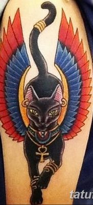 фото тату Кошка с крыльями от 26.06.2018 №026 — Cat tattoo with wings — tatufoto.com