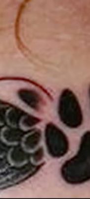 фото тату Кошка с крыльями от 26.06.2018 №040 — Cat tattoo with wings — tatufoto.com