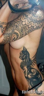 фото тату Кошка с крыльями от 26.06.2018 №041 — Cat tattoo with wings — tatufoto.com