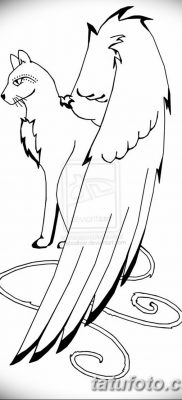 фото тату Кошка с крыльями от 26.06.2018 №045 — Cat tattoo with wings — tatufoto.com