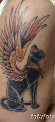 фото тату Кошка с крыльями от 26.06.2018 №047 — Cat tattoo with wings — tatufoto.com