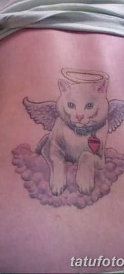 фото тату Кошка с крыльями от 26.06.2018 №048 — Cat tattoo with wings — tatufoto.com