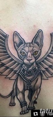 фото тату Кошка с крыльями от 26.06.2018 №049 — Cat tattoo with wings — tatufoto.com