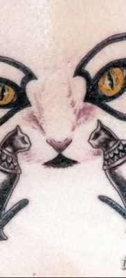 фото тату Кошка с крыльями от 26.06.2018 №055 — Cat tattoo with wings — tatufoto.com