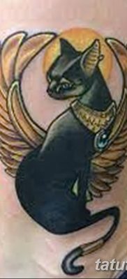 фото тату Кошка с крыльями от 26.06.2018 №072 — Cat tattoo with wings — tatufoto.com