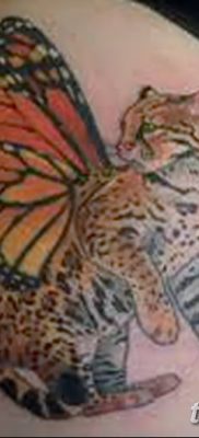 фото тату Кошка с крыльями от 26.06.2018 №073 — Cat tattoo with wings — tatufoto.com