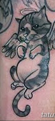 фото тату Кошка с крыльями от 26.06.2018 №075 — Cat tattoo with wings — tatufoto.com