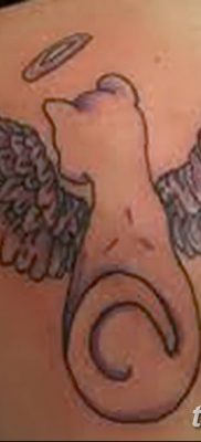 фото тату Кошка с крыльями от 26.06.2018 №079 — Cat tattoo with wings — tatufoto.com
