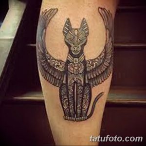 фото тату Кошка с крыльями от 26.06.2018 №080 - Cat tattoo with wings - tatufoto.com