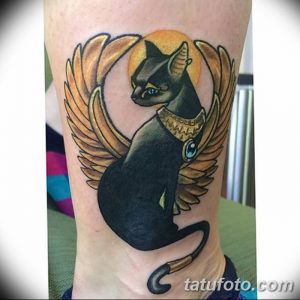фото тату Кошка с крыльями от 26.06.2018 №085 - Cat tattoo with wings - tatufoto.com