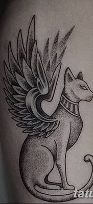фото тату Кошка с крыльями от 26.06.2018 №088 — Cat tattoo with wings — tatufoto.com