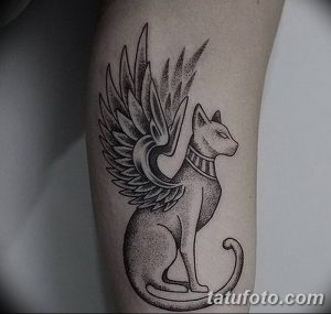 фото тату Кошка с крыльями от 26.06.2018 №088 - Cat tattoo with wings - tatufoto.com