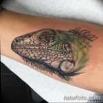 фото тату игуана от 26.06.2018 №001 - tattoo of iguana - tatufoto.com