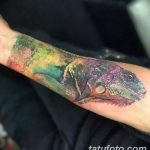 фото тату игуана от 26.06.2018 №002 - tattoo of iguana - tatufoto.com