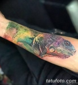 Фото тату игуаны на предплечье. Изображение рептилии выполнено в ярких, насыщенных цветах, с использованием акварельной техники. Оригинальный рисунок татуировки.