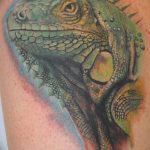 фото тату игуана от 26.06.2018 №003 - tattoo of iguana - tatufoto.com