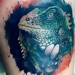 фото тату игуана от 26.06.2018 №004 - tattoo of iguana - tatufoto.com