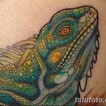 фото тату игуана от 26.06.2018 №007 - tattoo of iguana - tatufoto.com