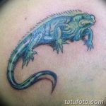 фото тату игуана от 26.06.2018 №012 - tattoo of iguana - tatufoto.com