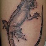 фото тату игуана от 26.06.2018 №013 - tattoo of iguana - tatufoto.com