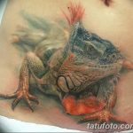 фото тату игуана от 26.06.2018 №014 - tattoo of iguana - tatufoto.com