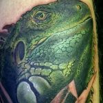 фото тату игуана от 26.06.2018 №016 - tattoo of iguana - tatufoto.com