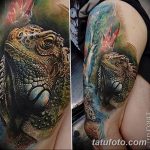 фото тату игуана от 26.06.2018 №018 - tattoo of iguana - tatufoto.com