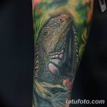 фото тату игуана от 26.06.2018 №021 - tattoo of iguana - tatufoto.com
