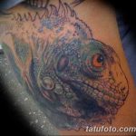 фото тату игуана от 26.06.2018 №028 - tattoo of iguana - tatufoto.com