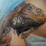 фото тату игуана от 26.06.2018 №029 - tattoo of iguana - tatufoto.com