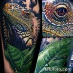 фото тату игуана от 26.06.2018 №034 - tattoo of iguana - tatufoto.com