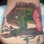 фото тату игуана от 26.06.2018 №035 - tattoo of iguana - tatufoto.com