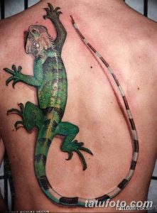 фото тату игуана от 26.06.2018 №036 - tattoo of iguana - tatufoto.com