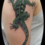 фото тату игуана от 26.06.2018 №037 - tattoo of iguana - tatufoto.com