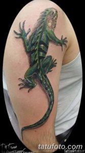 фото тату игуана от 26.06.2018 №037 - tattoo of iguana - tatufoto.com