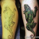 фото тату игуана от 26.06.2018 №040 - tattoo of iguana - tatufoto.com