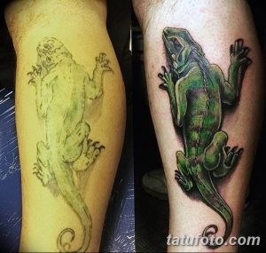 фото тату игуана от 26.06.2018 №040 - tattoo of iguana - tatufoto.com