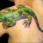 фото тату игуана от 26.06.2018 №042 - tattoo of iguana - tatufoto.com