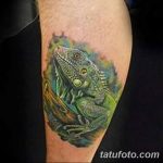 фото тату игуана от 26.06.2018 №044 - tattoo of iguana - tatufoto.com