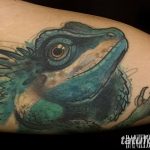 фото тату игуана от 26.06.2018 №046 - tattoo of iguana - tatufoto.com