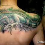 фото тату игуана от 26.06.2018 №047 - tattoo of iguana - tatufoto.com