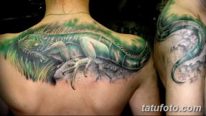 Фото тату игуаны, расположенной на спине и переходящей на руку. Яркий, красочный рисунок татуировки в реалистичном стиле с детальной проработкой.