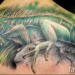 фото тату игуана от 26.06.2018 №048 - tattoo of iguana - tatufoto.com