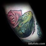 фото тату игуана от 26.06.2018 №051 - tattoo of iguana - tatufoto.com