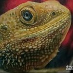 фото тату игуана от 26.06.2018 №053 - tattoo of iguana - tatufoto.com
