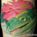 фото тату игуана от 26.06.2018 №060 - tattoo of iguana - tatufoto.com