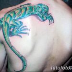 фото тату игуана от 26.06.2018 №063 - tattoo of iguana - tatufoto.com